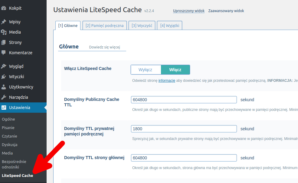 litespeed cache ustawienia